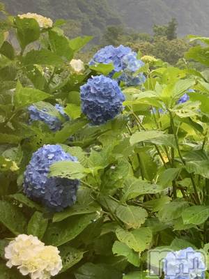 上越デリヘル 上越最安値！奥様Deli急便(ジョウエツサイヤスネ！オクサマデリキュウビン) 超癒し系奥様 ももこ(37)の6月28日写メブログ「どぉもこんにちは♡」