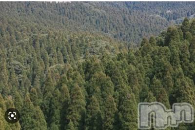 上越デリヘル 上越最安値！奥様Deli急便(ジョウエツサイヤスネ！オクサマデリキュウビン) 超癒し系奥様 ももこ(37)の3月21日写メブログ「花粉症」