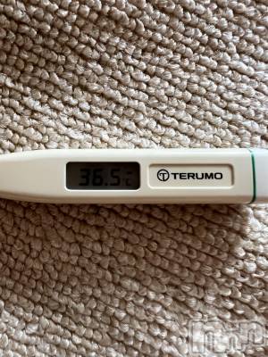 上越人妻デリヘル 上越最安値！奥様Deli急便(ジョウエツサイヤスネ！オクサマデリキュウビン) 超癒し系奥様 ももこ(31)の6月6日写メブログ「今日の体温🍑」