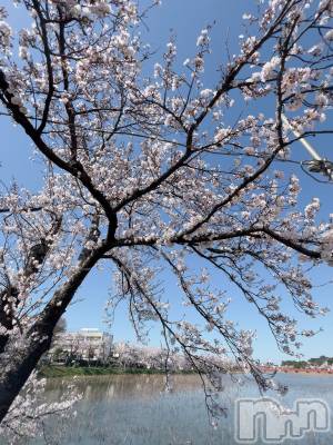 上越デリヘル 上越最安値！奥様Deli急便(ジョウエツサイヤスネ！オクサマデリキュウビン) 超癒し系奥様 ももこ(37)の4月11日写メブログ「私はやっぱり」