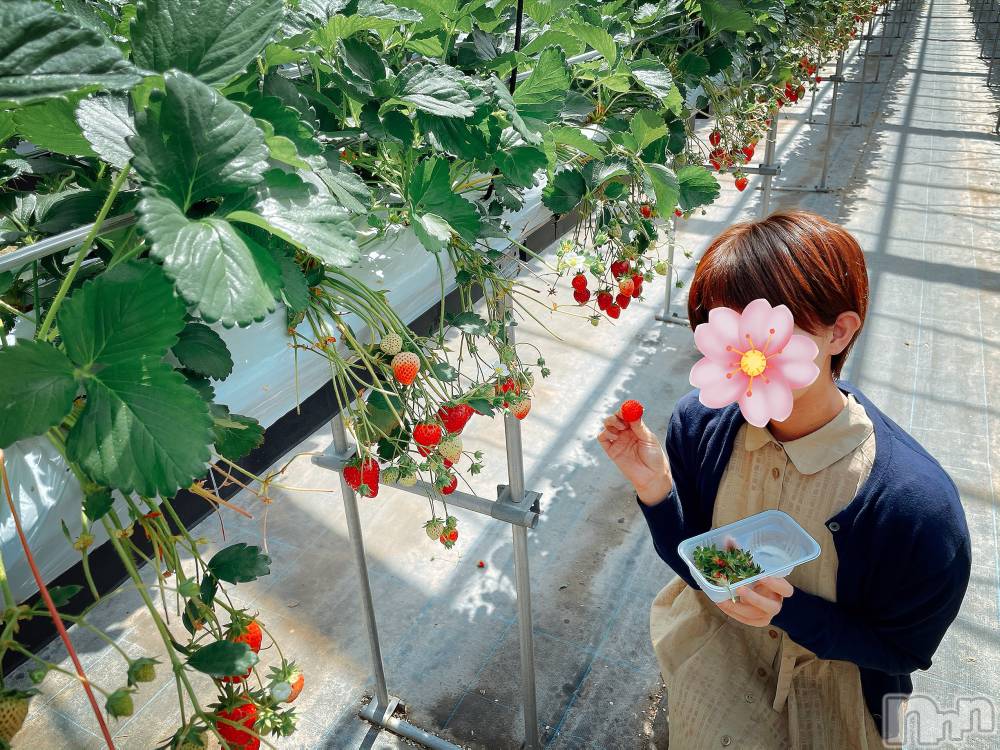 長岡デリヘルTERRACE(テラス) まゆ◆プラチナ(26)の4月25日写メブログ「4月は出勤おわりです！」