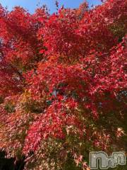 松本発デリヘル松本人妻隊(マツモトヒトヅマタイ) ほむら(40)の11月16日写メブログ「◯♥️」