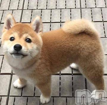 松本発デリヘル 松本人妻隊(マツモトヒトヅマタイ) ほむら(40)の6月26日写メブログ「【7/7(日)】あと一枠です」