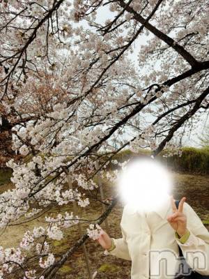 松本発デリヘル 松本人妻隊(マツモトヒトヅマタイ) ほむら(40)の4月7日写メブログ「ほむ❤️次回の出勤予定です𓂃 ✍︎」