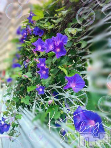 松本発デリヘル松本人妻隊(マツモトヒトヅマタイ) ゆりこ(43)の7月28日写メブログ「今日もよろしくお願いします」