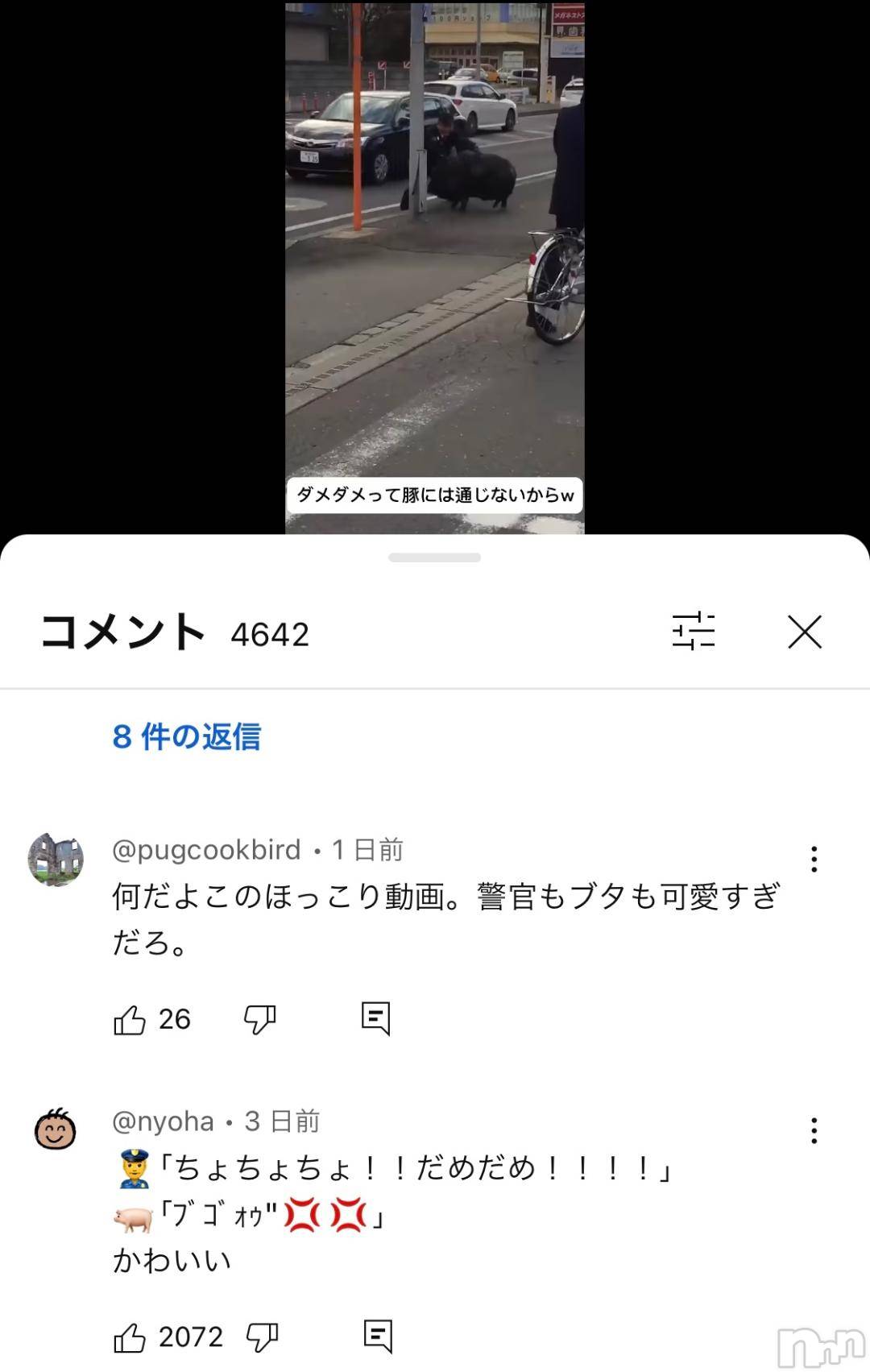 松本発人妻デリヘル松本人妻隊(マツモトヒトヅマタイ)ゆりこ(43)の2024年11月5日写メブログ「優しい世界♪」