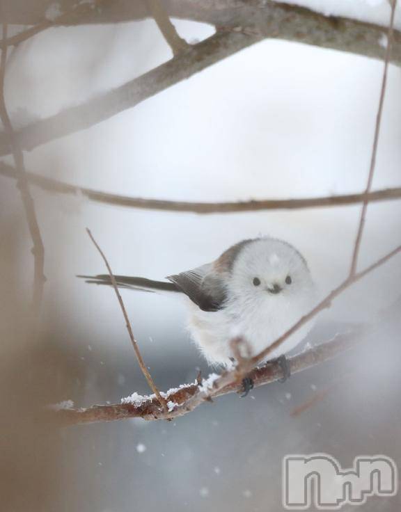 松本発デリヘル松本人妻隊(マツモトヒトヅマタイ)ゆりこ(43)の2026年3月6日写メブログ「[お題]from:ジンギスカン未経験さん」