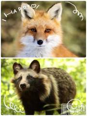 松本発デリヘル松本人妻隊(マツモトヒトヅマタイ) ゆりこ(43)の10月20日写メブログ「きつねさん」