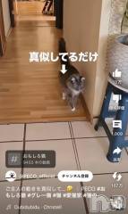 松本発デリヘル松本人妻隊(マツモトヒトヅマタイ) ゆりこ(43)の12月11日写メブログ「可愛い」