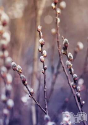 松本発デリヘル 松本人妻隊(マツモトヒトヅマタイ) ゆりこ(43)の4月22日写メブログ「おはようございます」