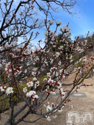 松本発デリヘル 松本人妻隊(マツモトヒトヅマタイ) ゆりこ(43)の2月17日写メブログ「おはようございます」