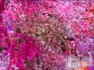 松本発デリヘル 松本人妻隊(マツモトヒトヅマタイ) ゆりこ(43)の4月14日写メブログ「今日もありがとう」