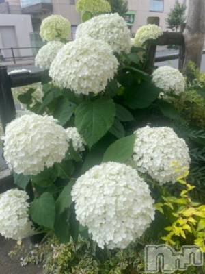 松本発デリヘル 松本人妻隊(マツモトヒトヅマタイ) ゆりこ(43)の7月2日写メブログ「寛容」