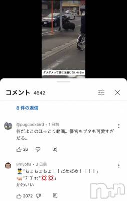 松本発人妻デリヘル 松本人妻隊(マツモトヒトヅマタイ) ゆりこ(43)の11月5日写メブログ「優しい世界♪」