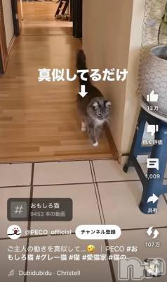 松本発人妻デリヘル 松本人妻隊(マツモトヒトヅマタイ) ゆりこ(43)の12月11日写メブログ「可愛い」
