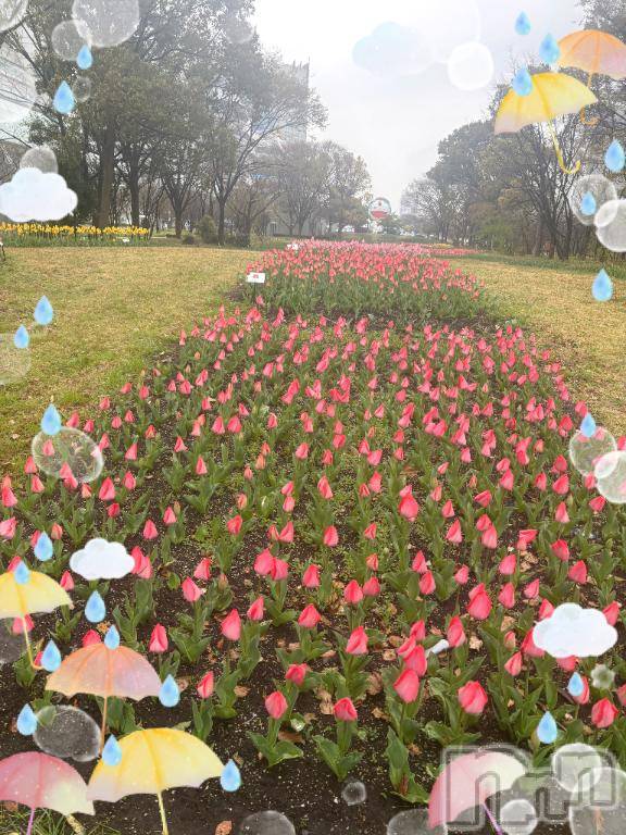 松本発デリヘル松本人妻隊(マツモトヒトヅマタイ)ひでみ(43)の2026年3月26日写メブログ「春に三日の晴れなし…」