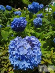 松本発デリヘル松本人妻隊(マツモトヒトヅマタイ) ひでみ(43)の6月12日写メブログ「来週の出勤スケジュール」