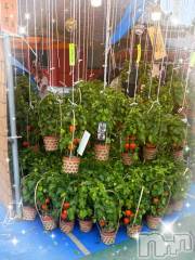 松本発デリヘル松本人妻隊(マツモトヒトヅマタイ) ひでみ(43)の7月10日写メブログ「夏の風物詩♡」