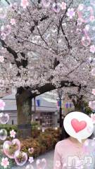 松本発デリヘル松本人妻隊(マツモトヒトヅマタイ) ひでみ(43)の4月9日写メブログ「SAKURA♡」