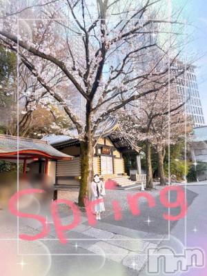 松本発デリヘル 松本人妻隊(マツモトヒトヅマタイ) ひでみ(43)の3月25日写メブログ「春♡」