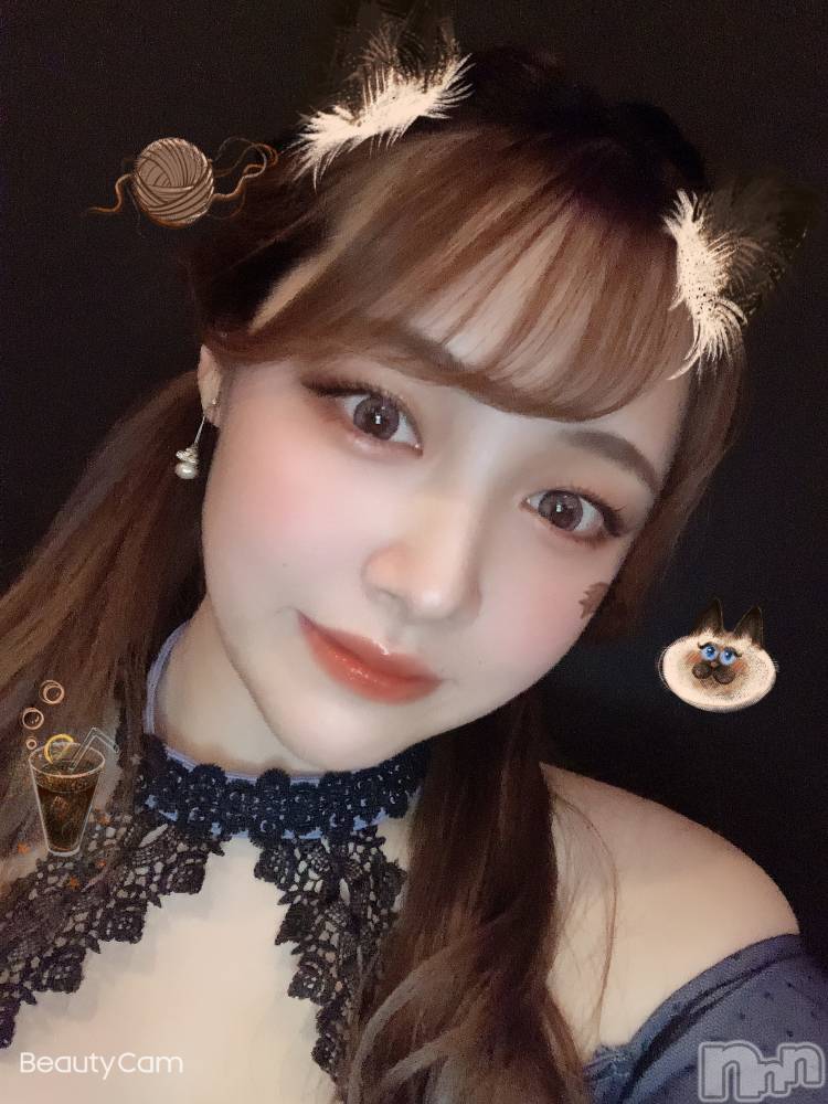 ܱХ顦֥ ץ ( ץ ޥĥ) ͥͤ915̥֥֥٥21