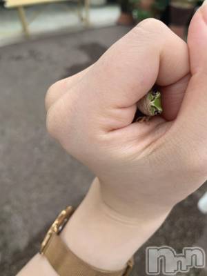 ܱХ顦֥ ץ ( ץ ޥĥ) ͥͤ1013̥֥֥🐸