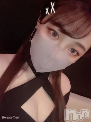 ܱХ顦֥ ץ ( ץ ޥĥ) ͥͤ217̥֥֤Ϥʤ¡