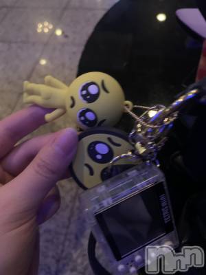 ܱХ顦֥ ץ ( ץ ޥĥ) ͥͤ224̥֥🥺🥺🥺