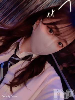 ܱХ顦֥ ץ ( ץ ޥĥ) ͥͤ312̥֥֤äѤ