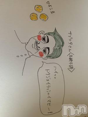 ܱХ顦֥ ץ ( ץ ޥĥ) ͥͤ73̥֥֥ץ