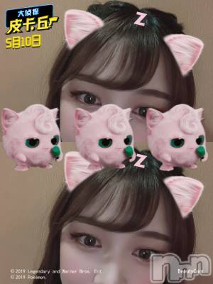 ܱХ顦֥ ץ ( ץ ޥĥ) ͥͤ79̥֥֥ܥ