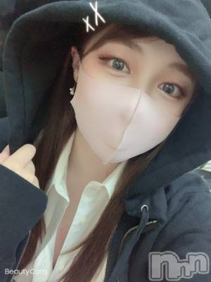 ܱХ顦֥ ץ ( ץ ޥĥ) ͥͤ723̥֥֥Х󥰥ǥ