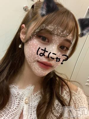 ܱХ顦֥ ץ ( ץ ޥĥ) ͥͤ730̥֥¾ܴ