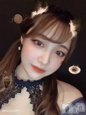 ܱХ顦֥ ץ ( ץ ޥĥ) ͥͤ915̥֥֥٥21