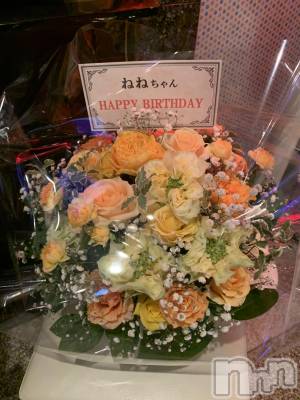 ܱХ顦֥ ץ ( ץ ޥĥ) ͥͤ1127̥֥Birthday