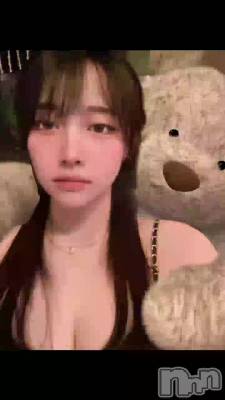 🐻🐻🐻