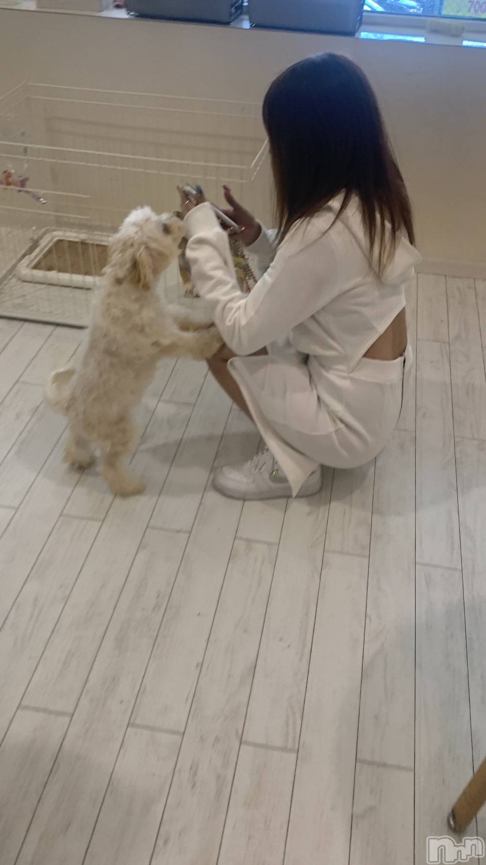 Х顦CLUB  DM(֥ǥ) 2023ǯ105̥֥🐍🐶‪🦜‬🐱🦉🐰