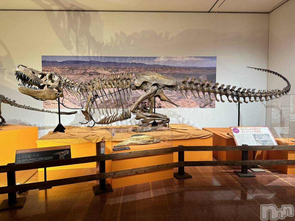 㽩ն襹ʥå륺СCafe&Bar Place(եɥСץ쥤) Ǥ921̥֥🦖