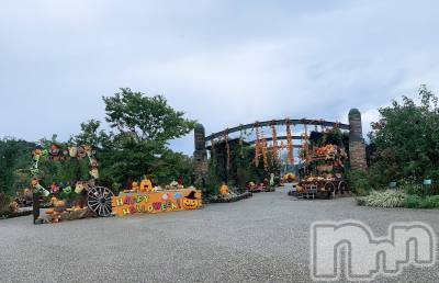 㽩ն襹ʥå륺СCafe&Bar Place(եɥСץ쥤) Ǥ1029̥֥֥ϥ🎃