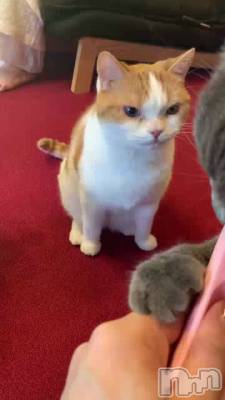 䤷🐱