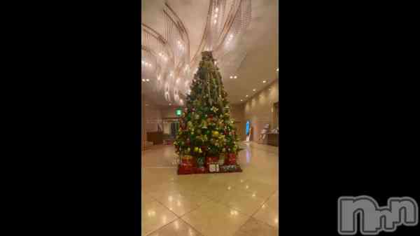 ǡ&#x1F332;&#x1F381;