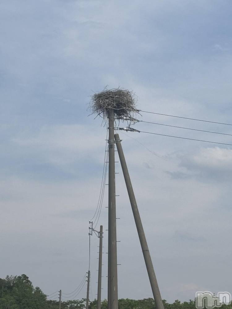 上越デリヘルClub Crystal(クラブ　クリスタル) のあ(22)の6月11日写メブログ「今日のお礼です❤️」