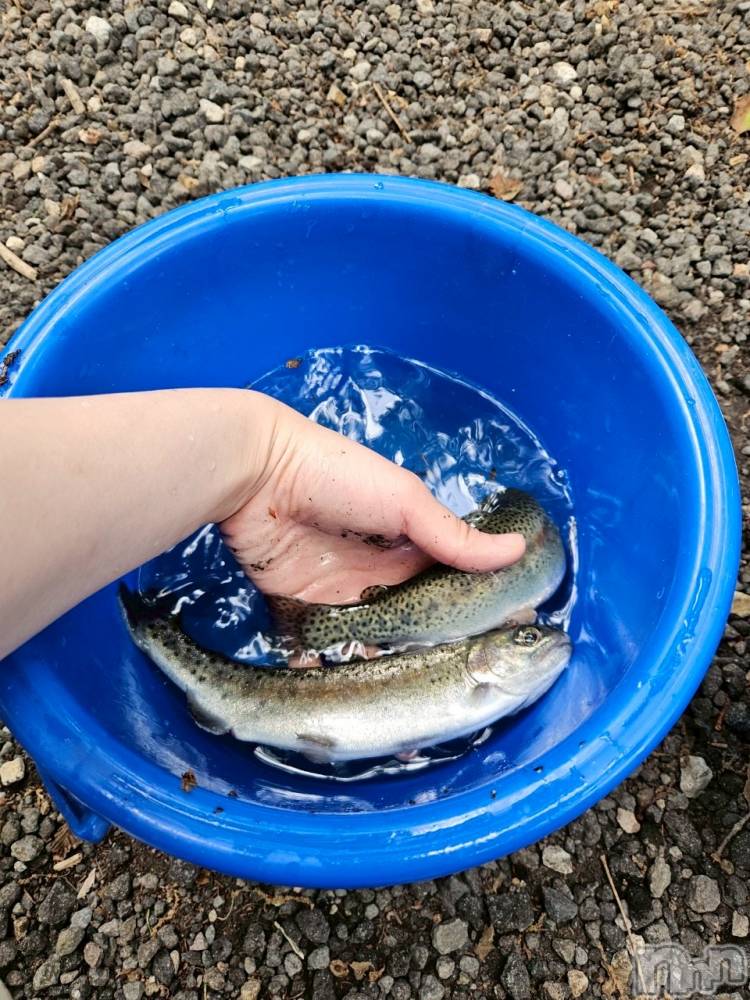 上越デリヘルClub Crystal(クラブ　クリスタル) のあ(22)の6月26日写メブログ「今日のお礼です❤️」