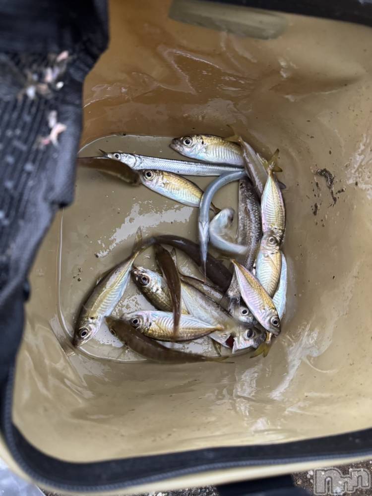 上越デリヘルClub Crystal(クラブ　クリスタル) のあ(22)の10月14日写メブログ「おはようございます♥️」