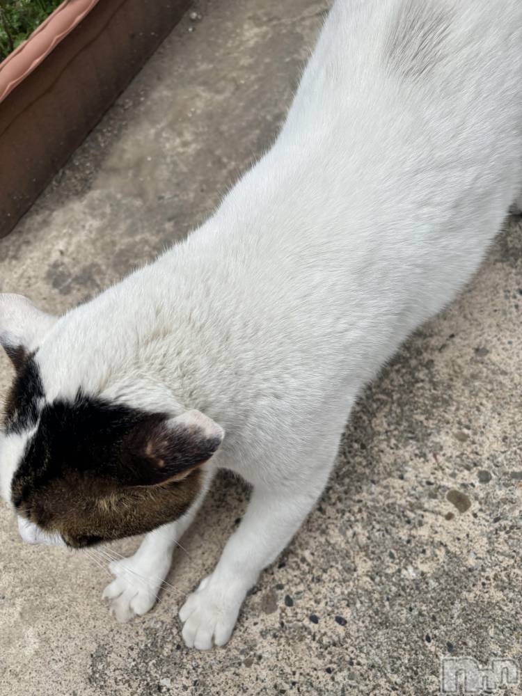 上越デリヘルClub Crystal(クラブ　クリスタル) のあ(23)の4月6日写メブログ「本日のお礼です♥️」