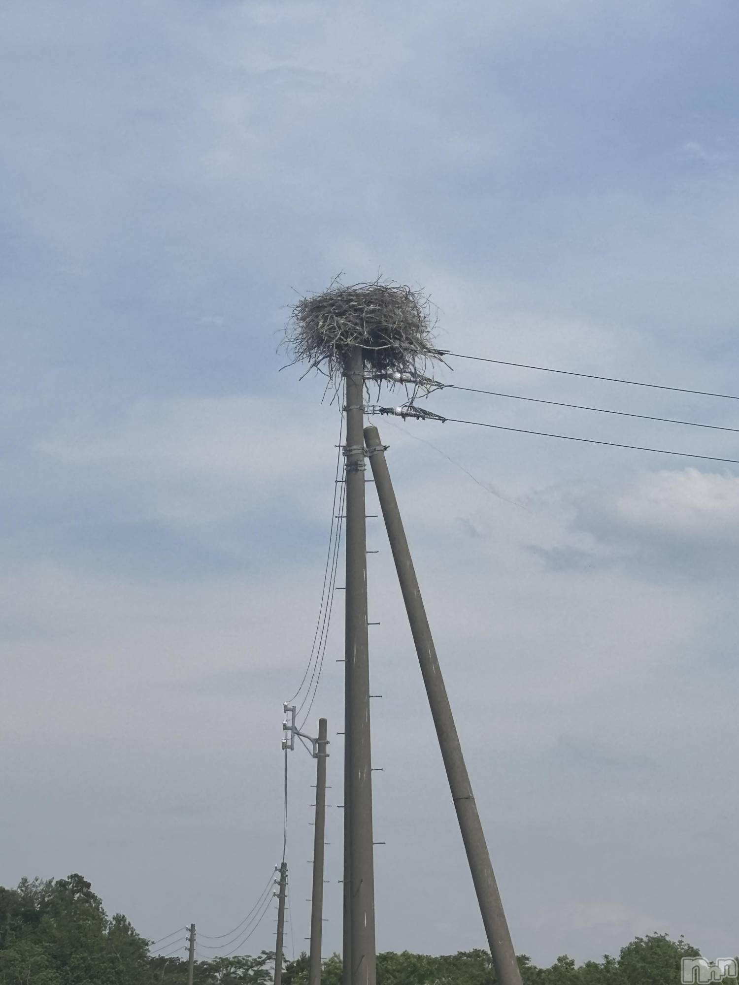 上越デリヘルClub Crystal(クラブ　クリスタル)のあ(22)の2025年6月11日写メブログ「今日のお礼です❤️」