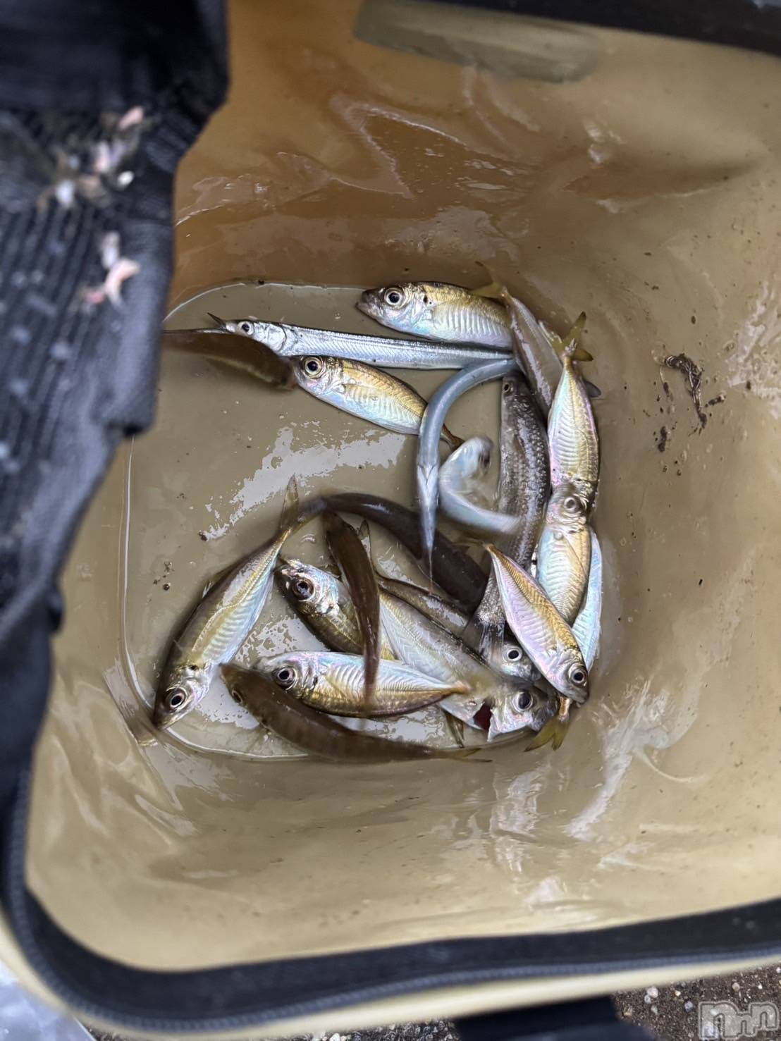 上越デリヘルClub Crystal(クラブ　クリスタル)のあ(22)の2025年10月14日写メブログ「おはようございます♥️」