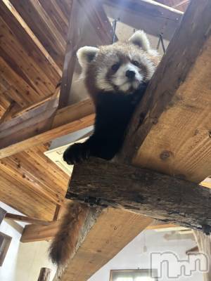 上越デリヘル Club Crystal(クラブ　クリスタル) のあ(23)の3月19日写メブログ「本日のお礼💖」