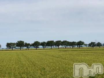 新潟デリヘル五十路マダム新潟店(カサブランカグループ)(イソジマダムニイガタテン) 真田成美(56)の8月14日写メブログ「今日♪」