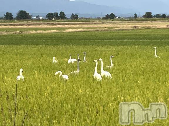 新潟デリヘル五十路マダム新潟店(カサブランカグループ)(イソジマダムニイガタテン) 真田成美(56)の11月13日写メブログ「15日に♪」